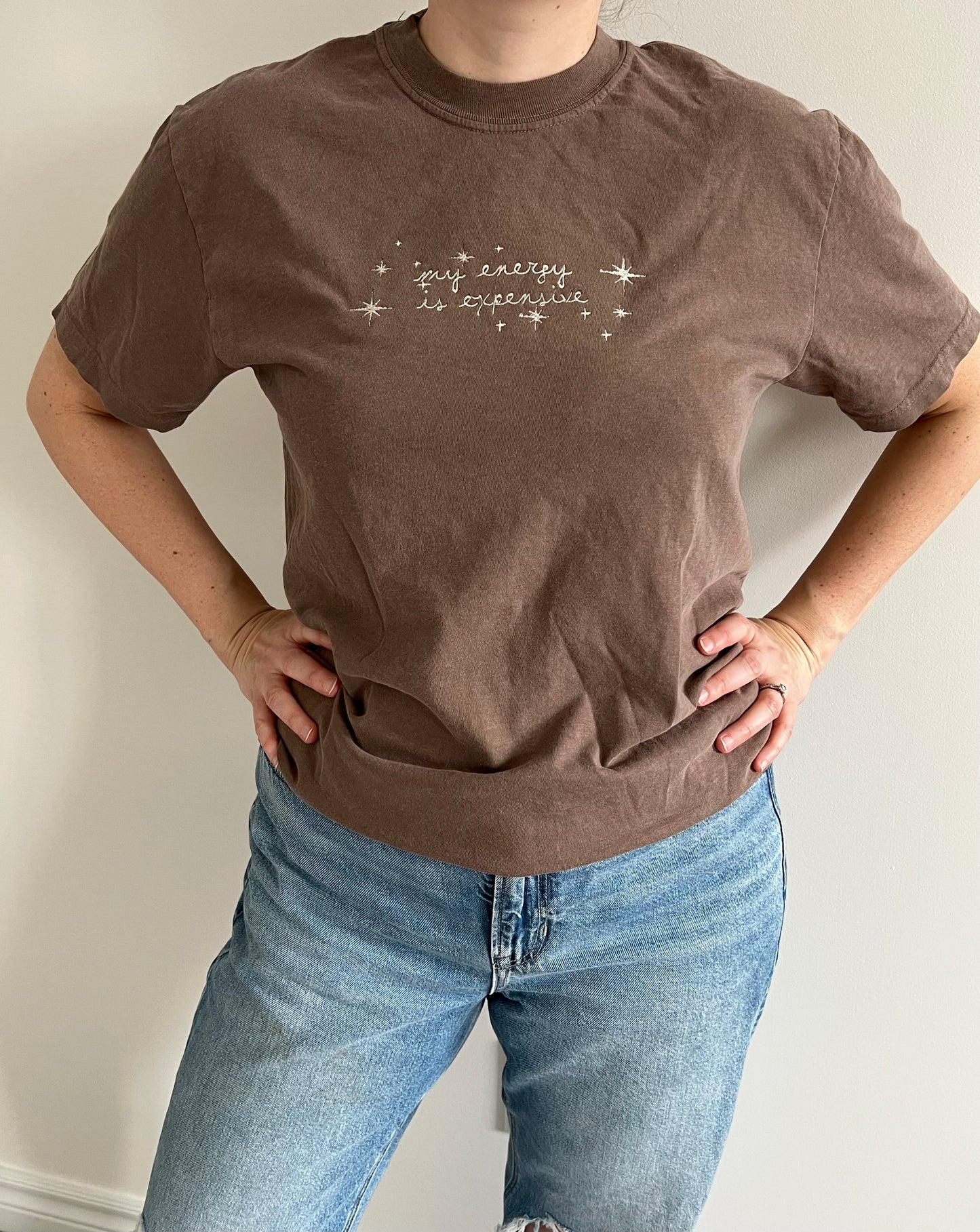Taylor Swift inspired Embroidery Sweater / T-shirt my energy is expensive