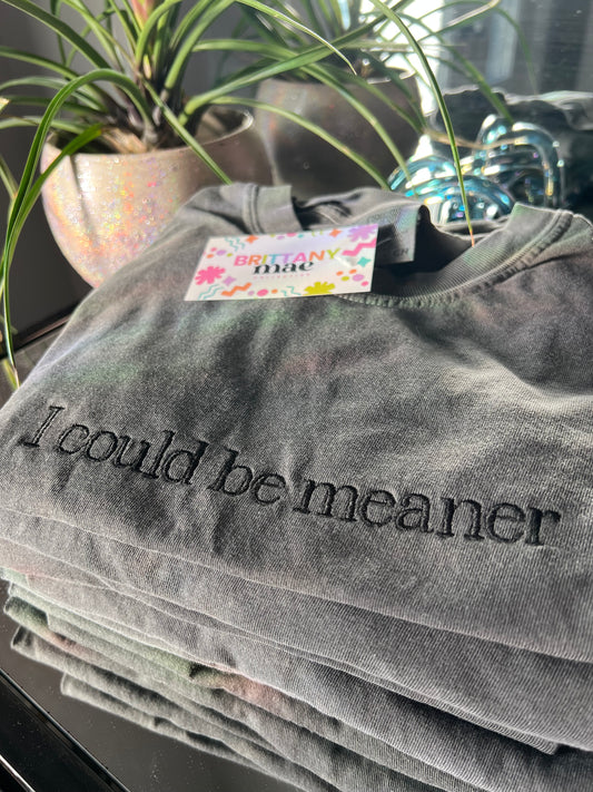 I could be meaner Embroidery Sweater / T-shirt