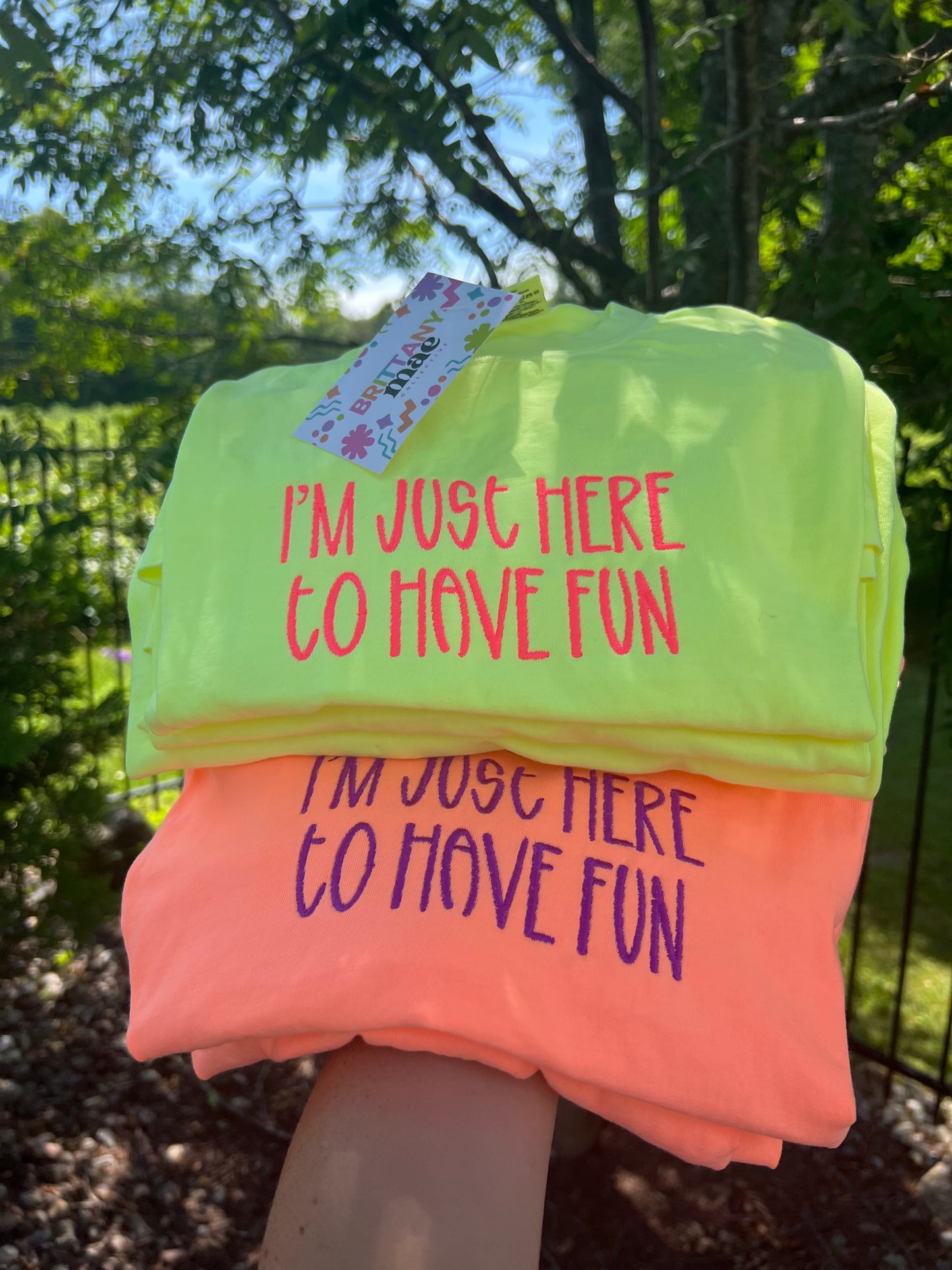 Im Just Here to Have Fun Embroidered 3/4 comfort color crop top