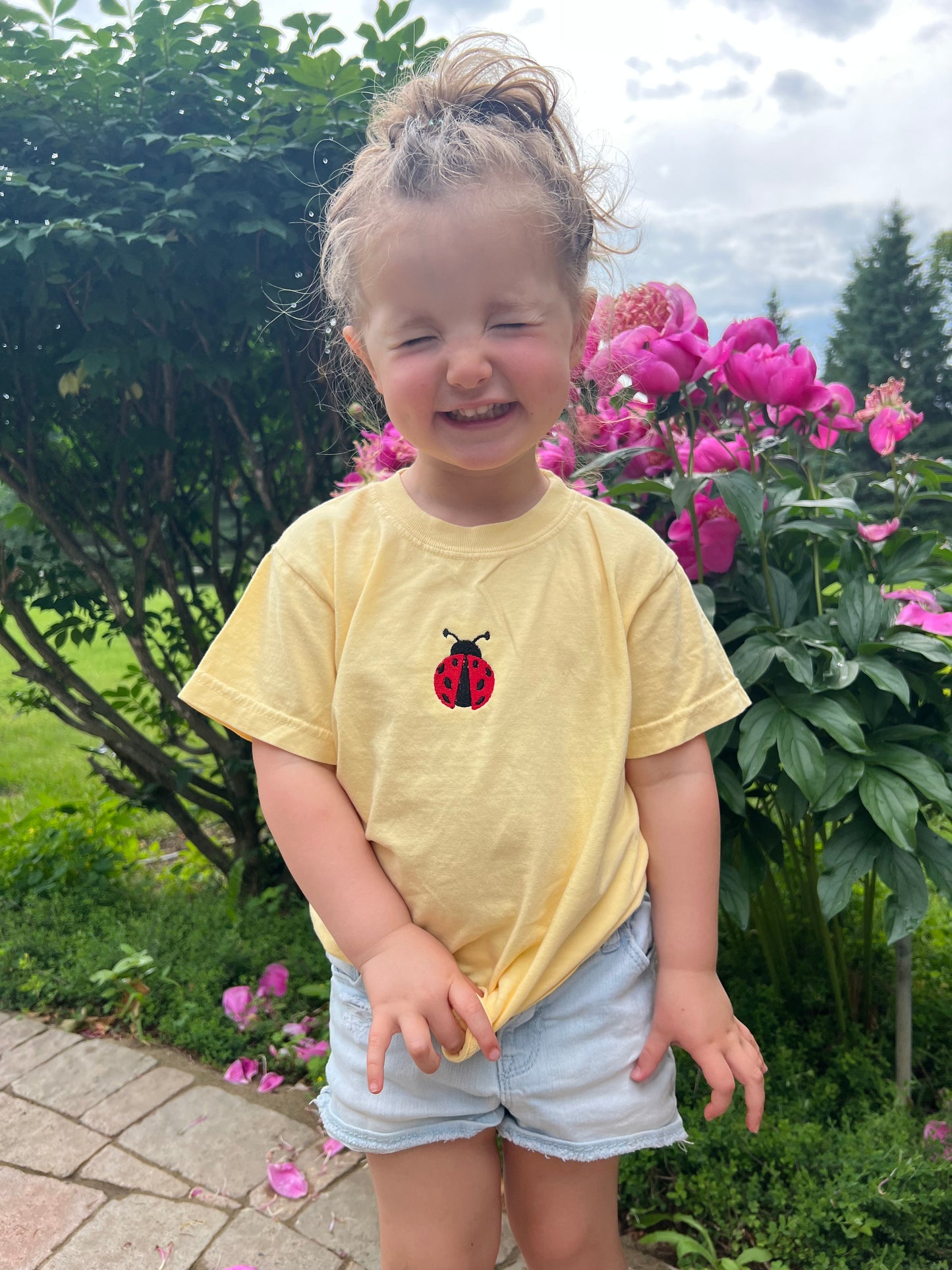 Kids Shirt icon ladybug, bees, bow, strawbery embroidered