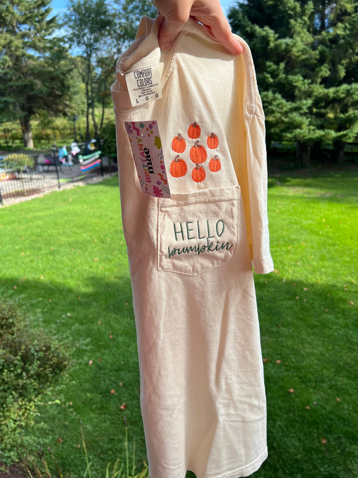 Hello Pumpkin Pocket Embroidery tshirt