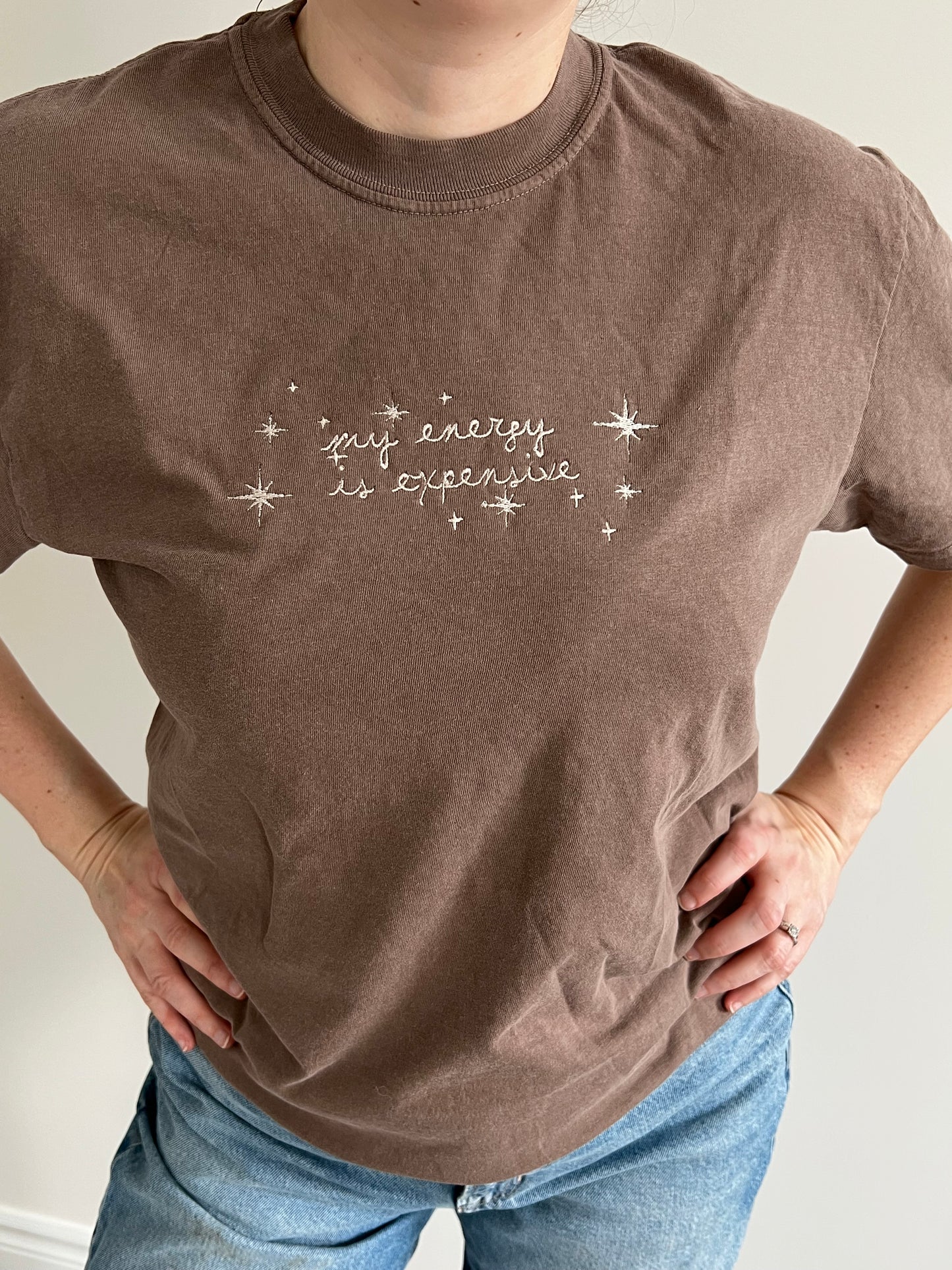 Taylor Swift inspired Embroidery Sweater / T-shirt my energy is expensive