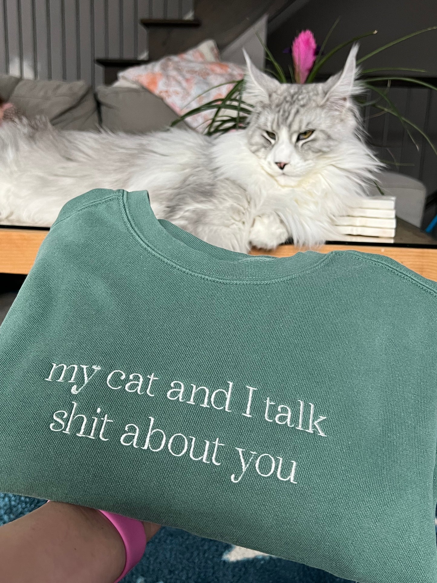 My Cat and I Talk Shit embroidered Sweater, Tshirt or Hoodie