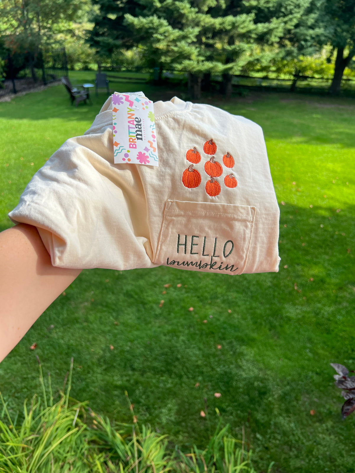 Hello Pumpkin Pocket Embroidery tshirt