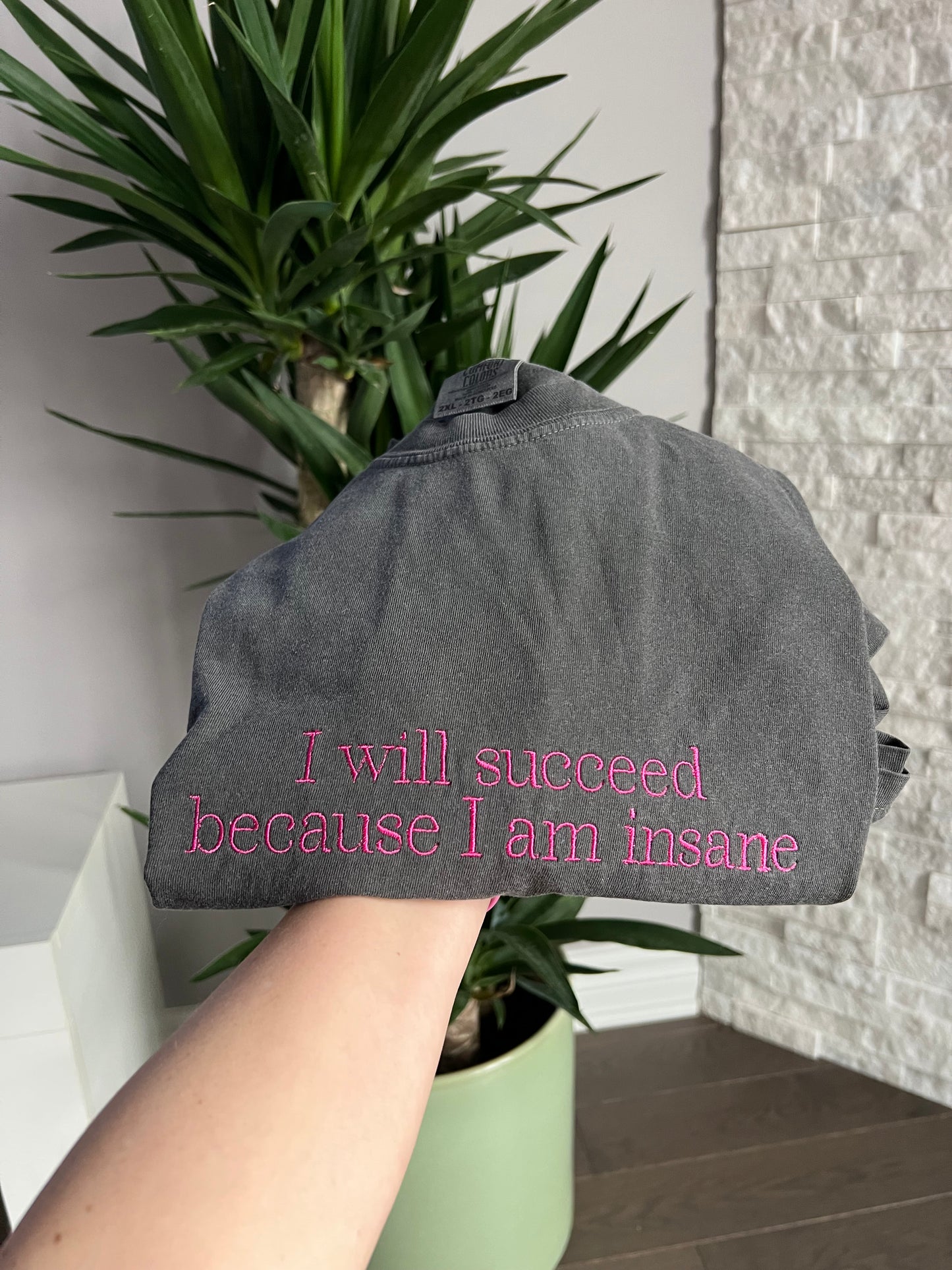 I will succeed because I am Insane embroidered Sweater, Tshirt or Hoodie