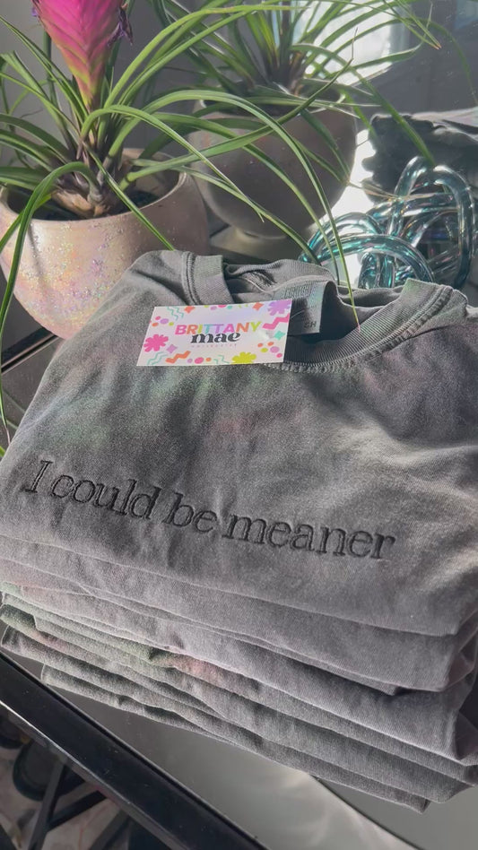 I could be meaner Embroidery Sweater / T-shirt